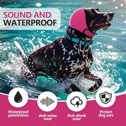 Dog wearing waterproof pink ear cover swimming in water, protective dog ear accessory