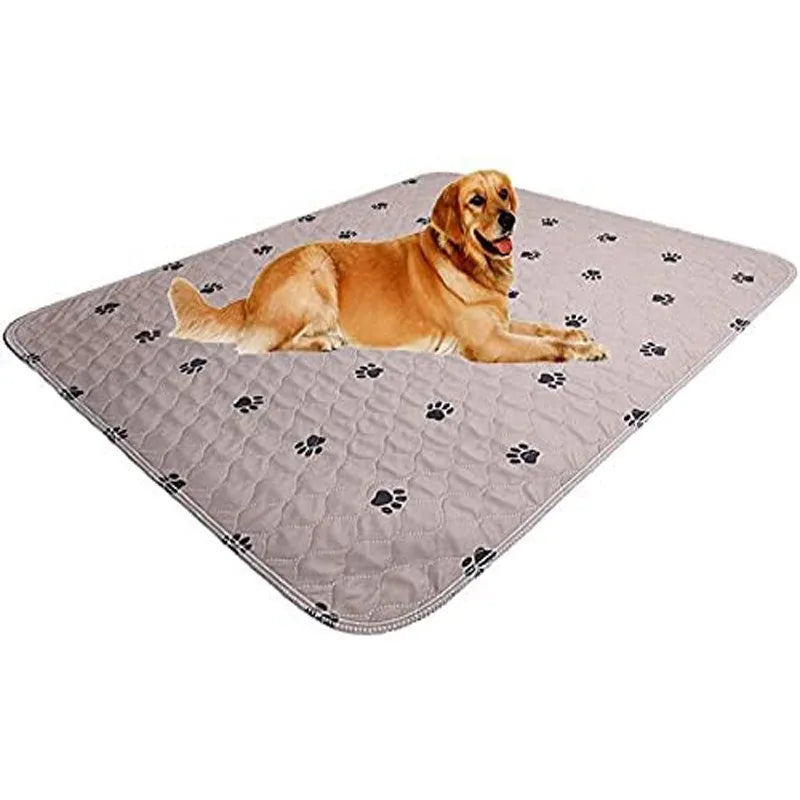 Large golden dog lying on a gray quilted dog mat with black paw print pattern.