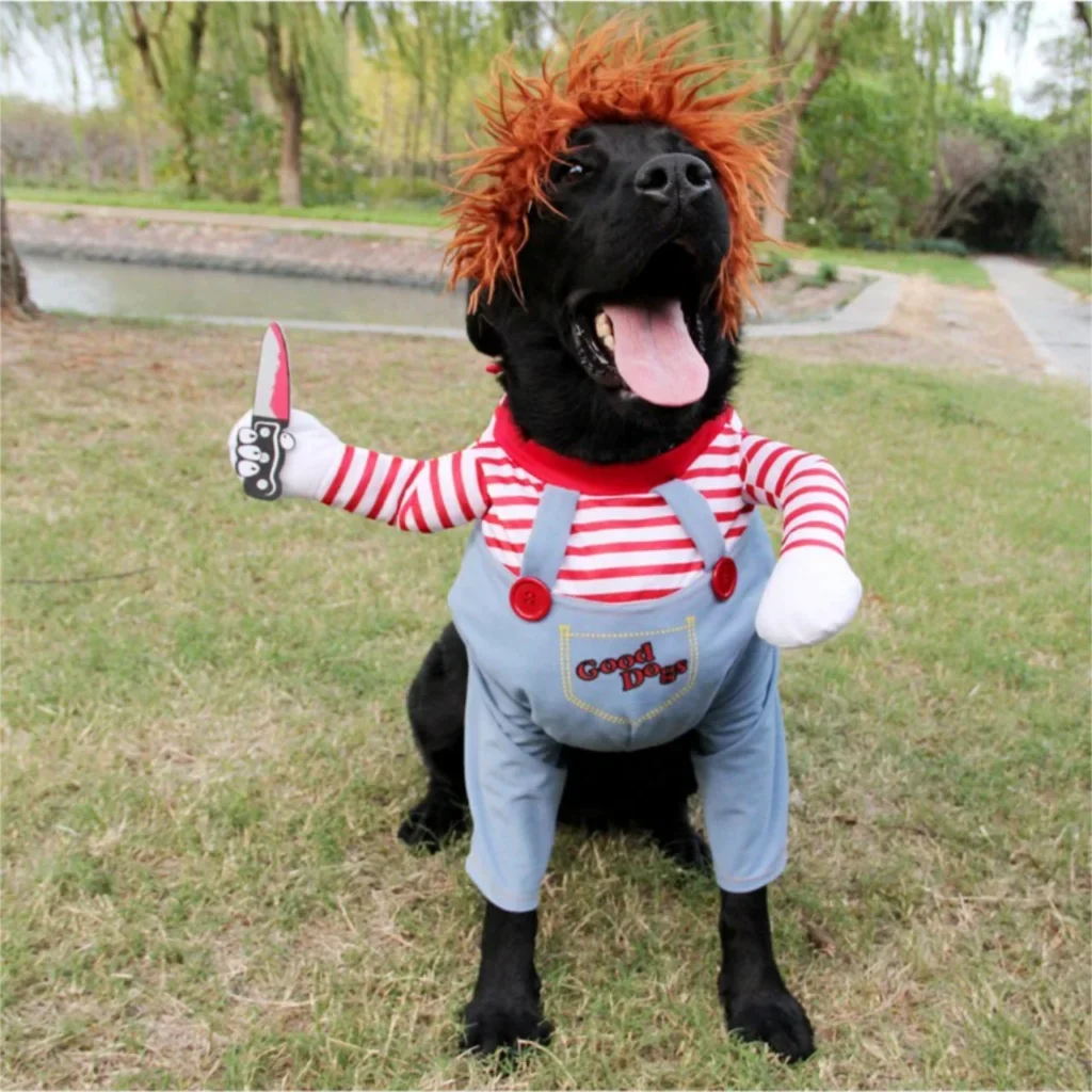 Black dog wearing funny costume with red wig, striped shirt, and overalls on grass