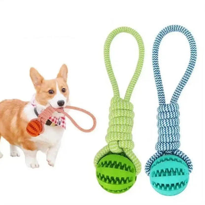 S26a9b69edd8d4890ab85d33ec0dd69529_64b55861-3c1e-4c05-8798-c9e88e66d830 - bestdoggylife.shop