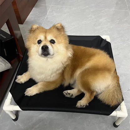 elevated dog camping bed for dogs, portable black hammock-style pet cot with a small dog lounging indoors