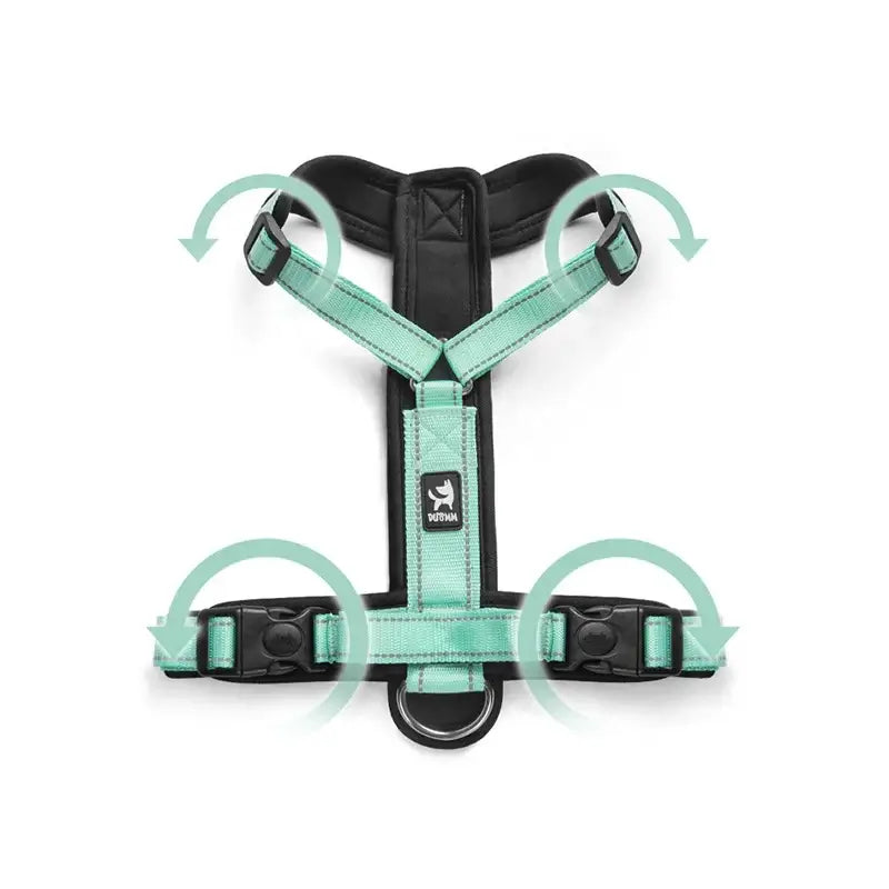 no pull dog harness with handle for small dogs, adjustable mint and black pet harness for walking, hiking, and training