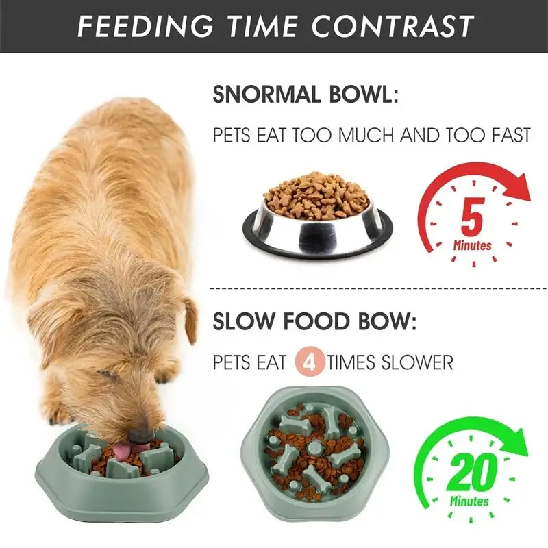 Slow feeder dog bowl anti-choking puzzle bowl for small and medium dogs, anti-slip slow eating feeder