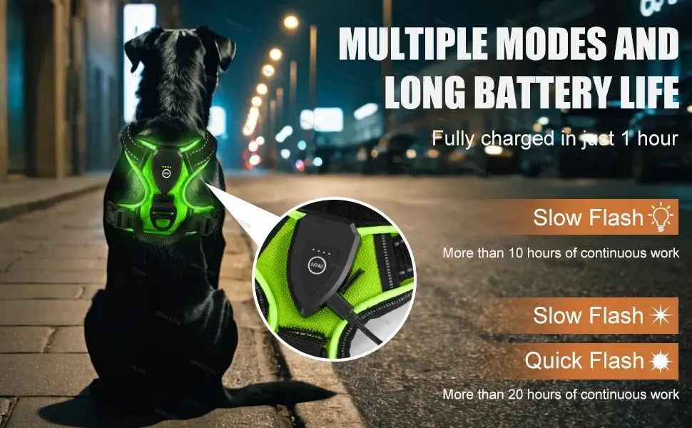 LED dog harness for night walking glowing vest with multiple light modes and long battery life for safe nighttime dog walks