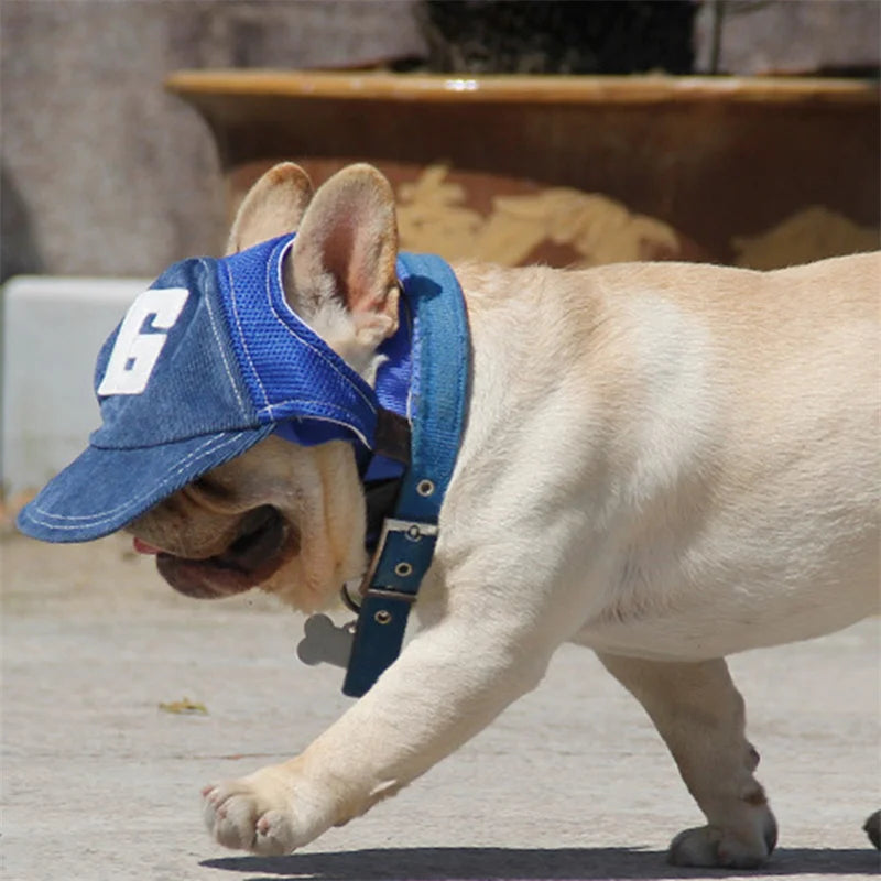 S28f2af60f476492287a9013bd17c6d38g - bestdoggylife.shop
