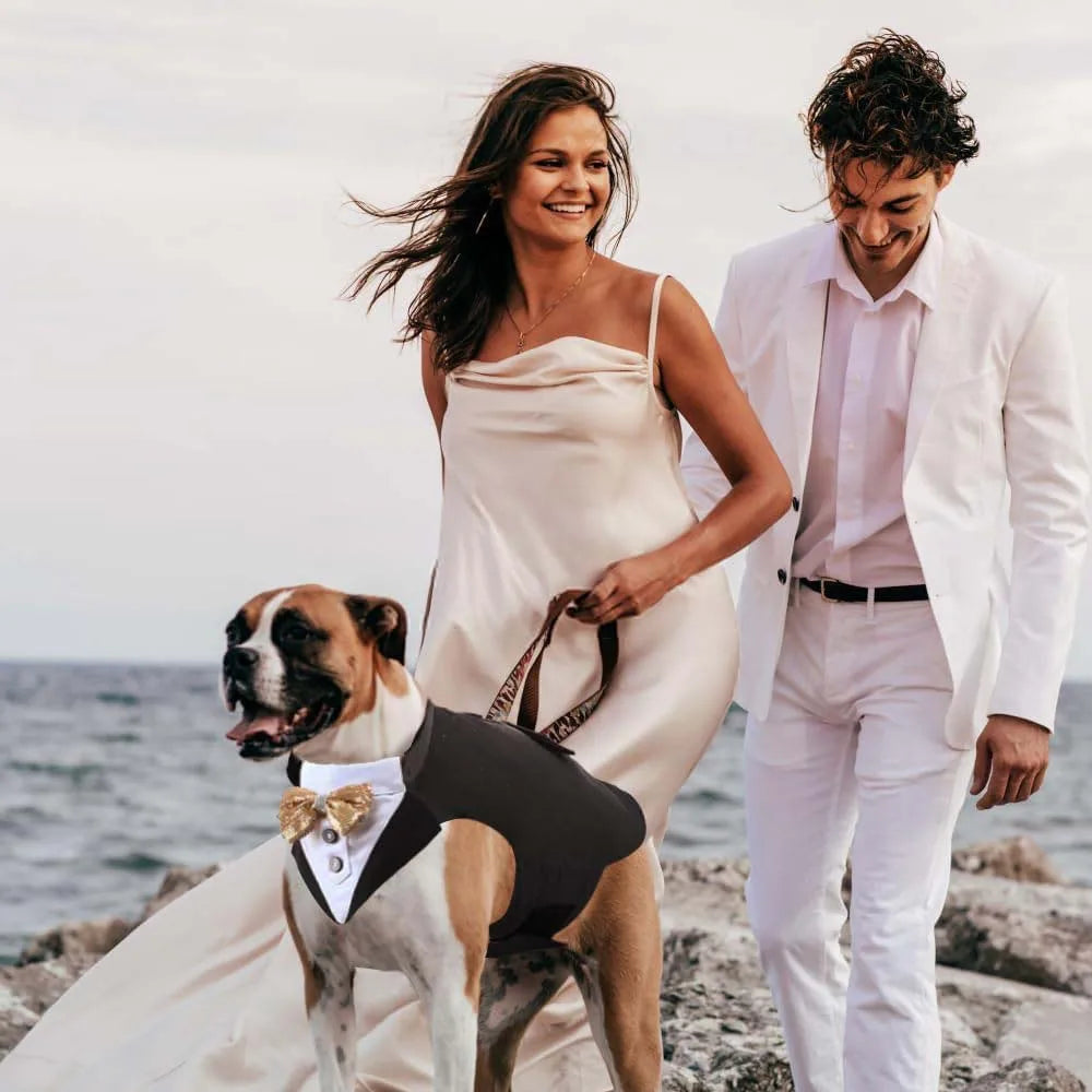 pet tuxedo outfit for dog formal wear with matching collar, premium wedding party costume, gray and black