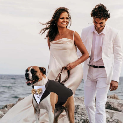 pet tuxedo outfit for dog formal wear with matching collar, premium wedding party costume, gray and black