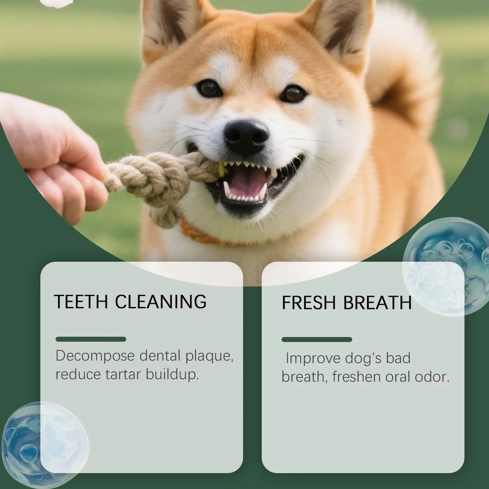 Dog dental powder, dog teeth cleaning powder, removes plaque and tartar, probiotic breath freshener, dental care toothpaste