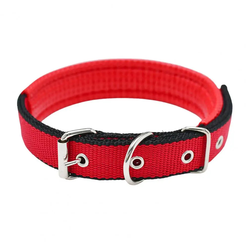 S297d1739820f48a6b53b6f1131b37f8eg - bestdoggylife.shop
