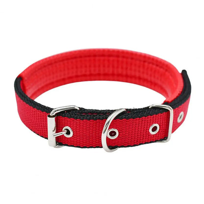 S297d1739820f48a6b53b6f1131b37f8eg - bestdoggylife.shop