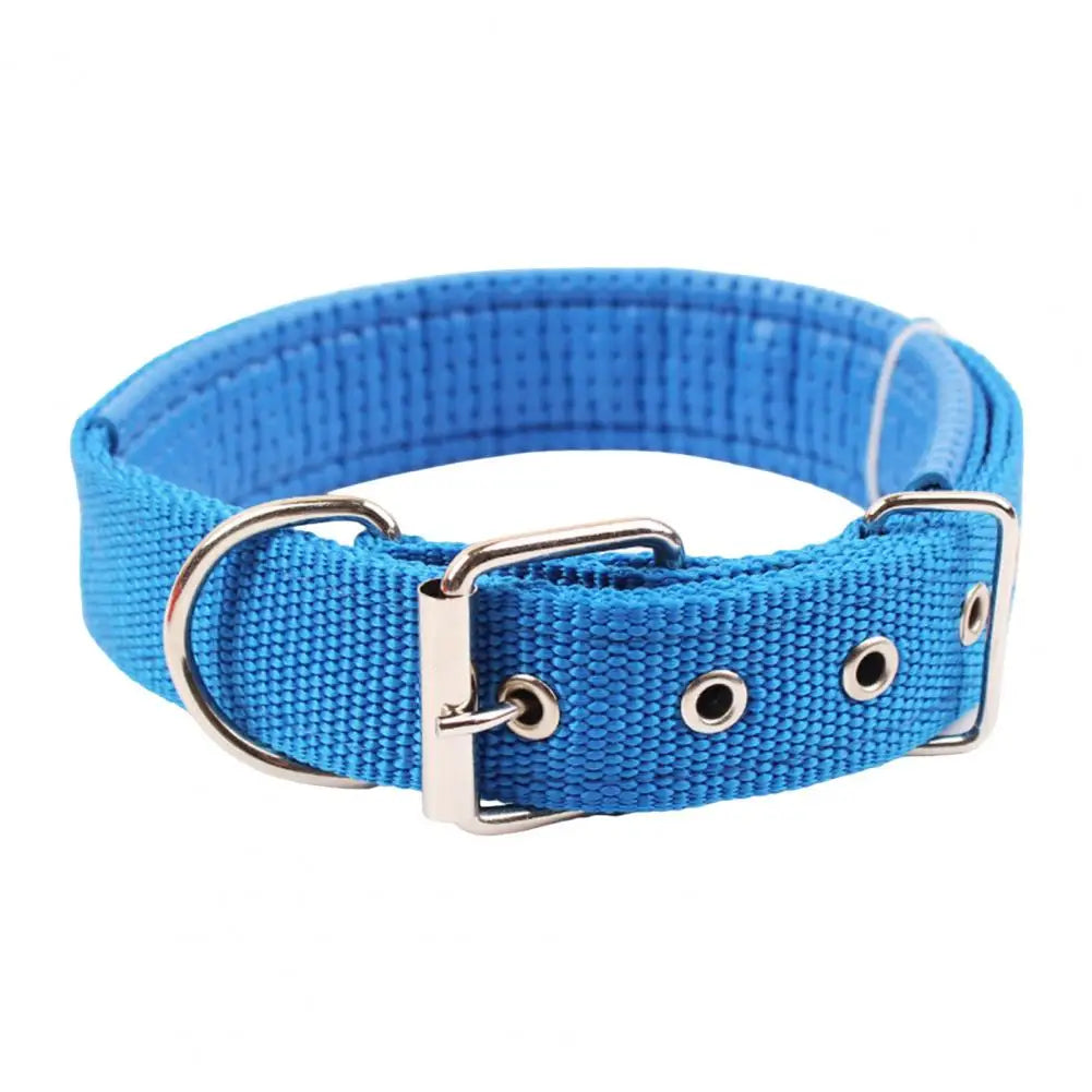S29a56a7bc277453fa195a229ab9f7bb4u - bestdoggylife.shop
