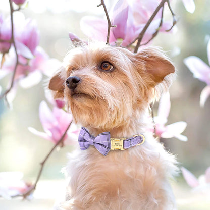 Custom Dog Collar Nylon Puppy Dog Collars With Cute Bowknot Engraved Pet Necklace Dog Collars For Small Medium Dogs Chihuahua.