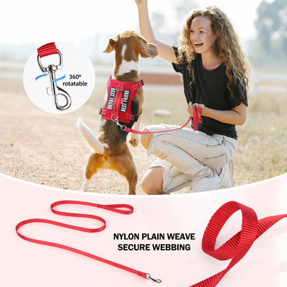 Reflective dog harness and leash set for small and medium dogs, adjustable vest harness for outdoor walking