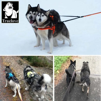 S2b3ac080b7784ecb8e81f1ae1335732ej_6c05b94a-e73f-4039-9f04-b703c58fb87d - bestdoggylife.shop