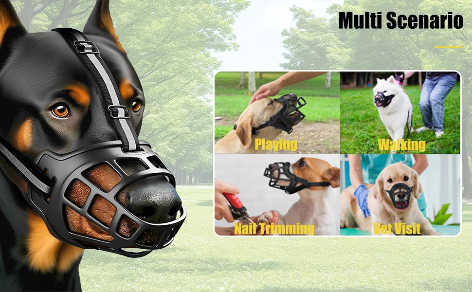 Large dog wearing a breathable basket muzzle, with scenarios for playing, walking, nail trimming, and vet visits.