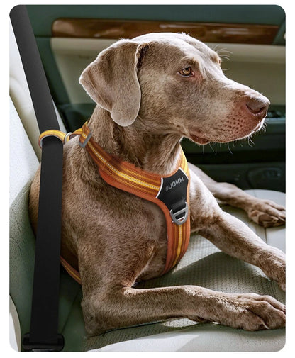 Dog Leash Anti-Pull Pet Harness Comfortable Outdoor Dog Leash Reflective Dog Harness Durable and Stain-Resistant on a dog in a car.