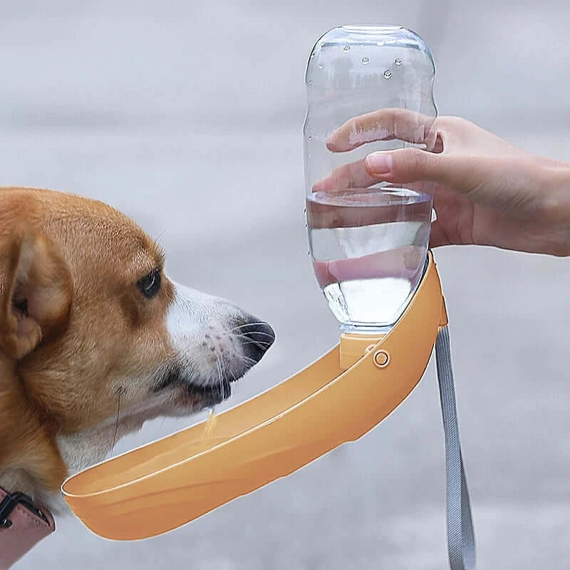 Portable Dog Water Bottle For Small Large Dogs Foldable Lightweight Drinking Bowl Outdoor Travel Walking Running Puppy Supplies