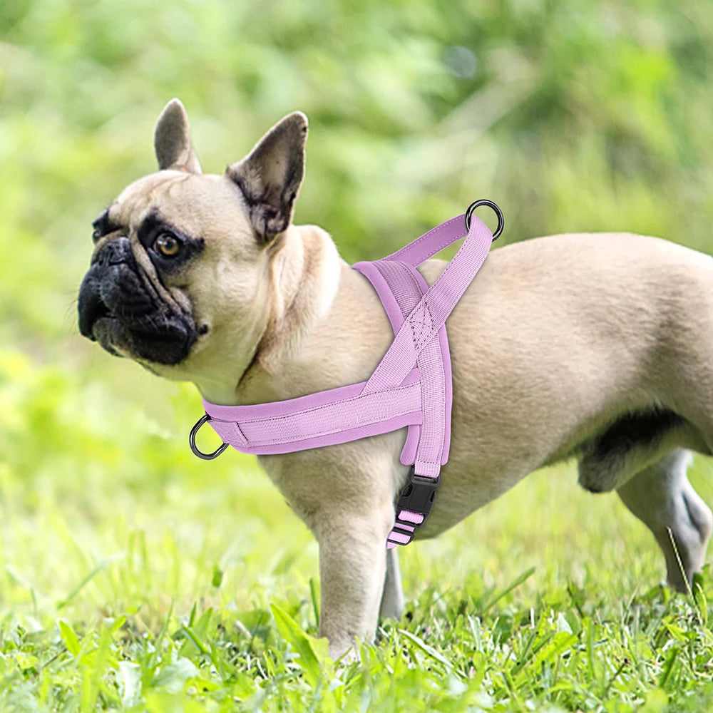 no pull dog harness for small dogs, padded adjustable pink nylon vest harness for a French bulldog outdoors