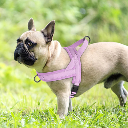 no pull dog harness for small dogs, padded adjustable pink nylon vest harness for a French bulldog outdoors