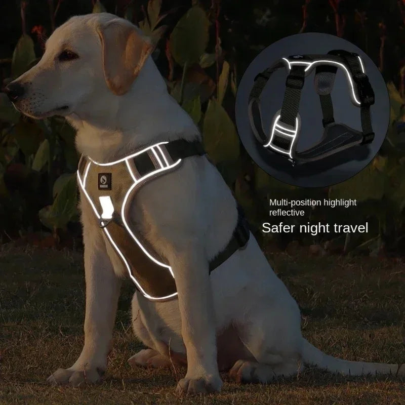 S2ce9fc2cc1f34a2da434671c846c3e41S - bestdoggylife.shop