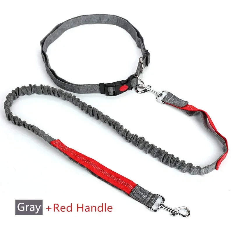 S2d90c525c51f4c0ab0f6e13776d6f30fj - bestdoggylife.shop