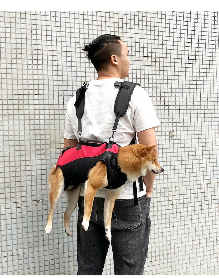 dog backpack carrier for hiking and biking with breathable belly support for secure pet transport on outdoor walks