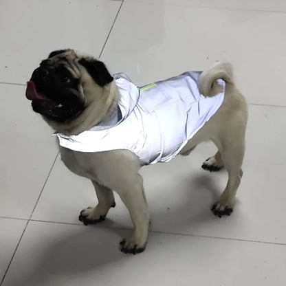 Pug wearing reflective dog vest on tiled indoor floor