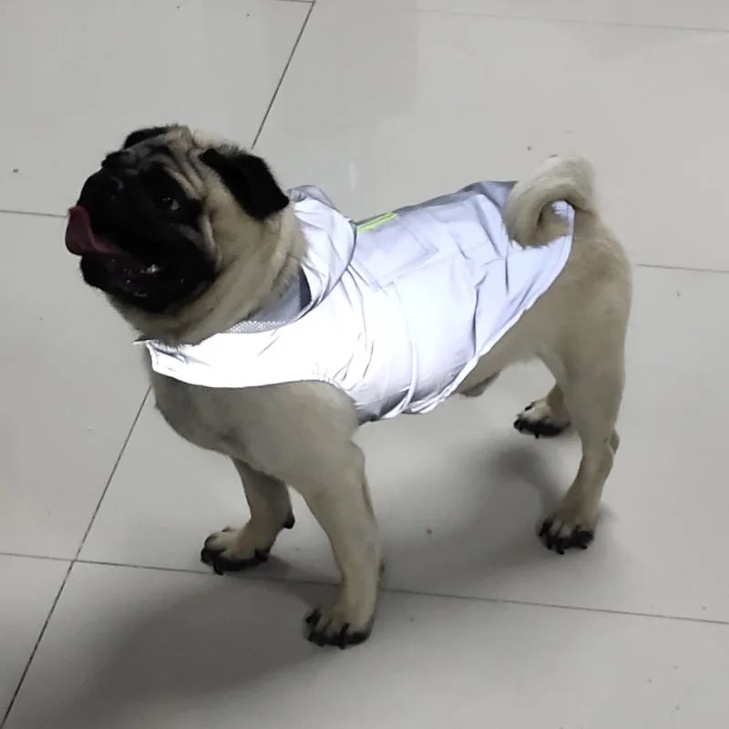 S2e42dfbc62c54cc4b6c9b71fa96b8a44C_599e2fd6-920e-4a94-913f-0f91eb2e7d4a - bestdoggylife.shop