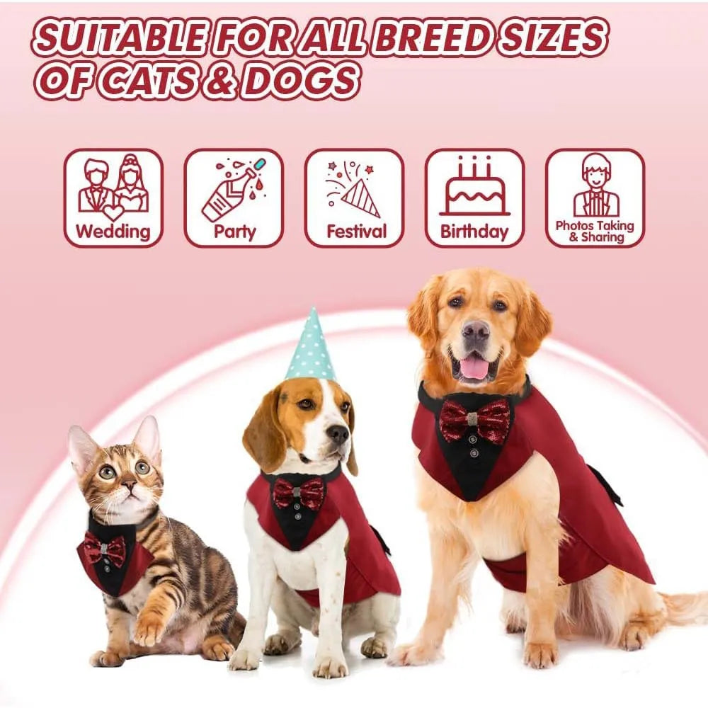 pet tuxedo outfit for cats and dogs, formal party costume with matching collar for weddings, birthdays, and photos