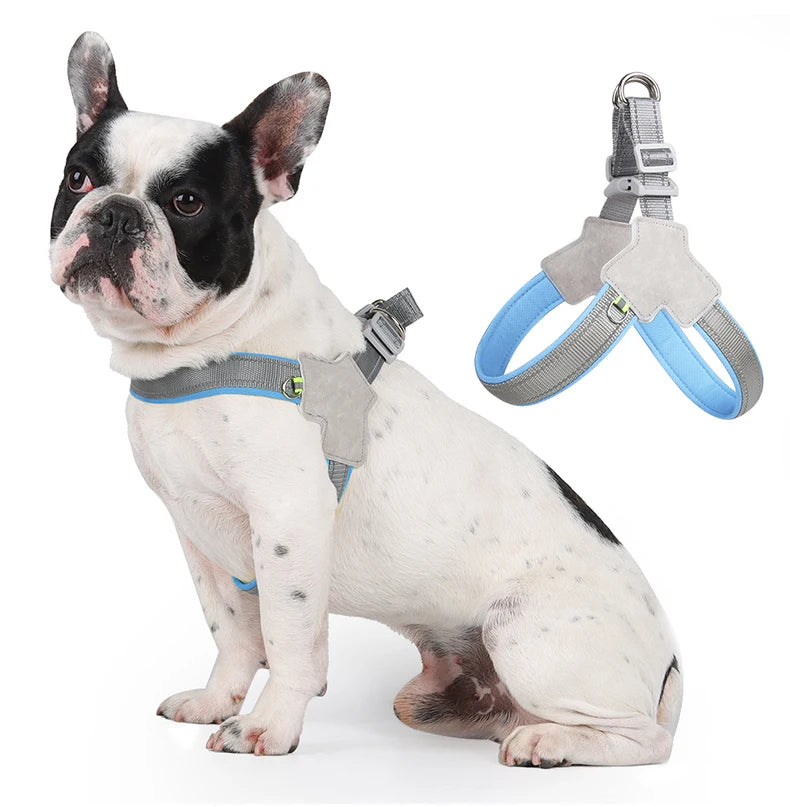 French Bulldog wearing gray and blue adjustable dog harness, extra harness shown beside