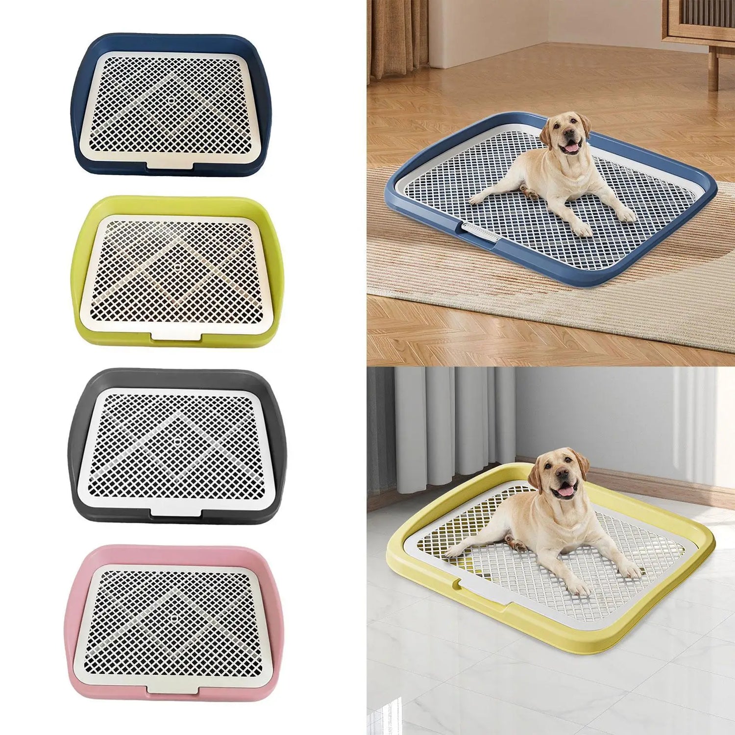 Dog lying on a large plastic dog potty training pad, shown in blue, yellow, black, pink.
