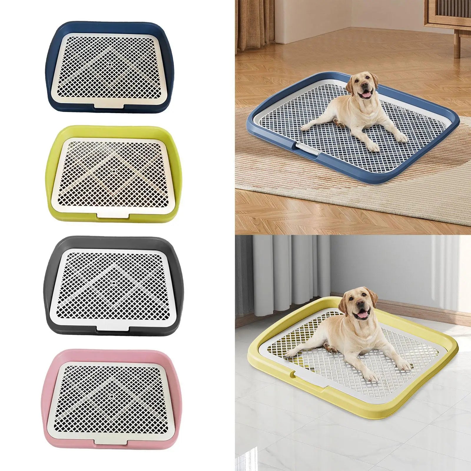 Dog lying on a large plastic dog potty training pad, shown in blue, yellow, black, pink.