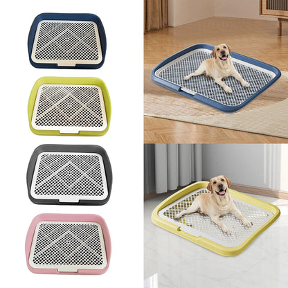 Dog lying on a large plastic dog potty training pad, shown in blue, yellow, black, pink.