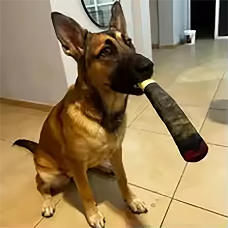 German Shepherd dog playing with a cigar dog toy plush squeaky chew toy indoors