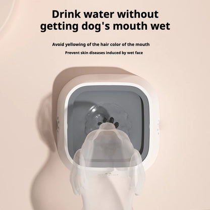 Dog drinking from splash-proof water bowl designed to keep mouth dry and prevent wet fur.