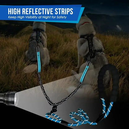 Reflective dog leash with padded handle and chain, shown at night with two dogs