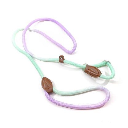 S2fe3f42e147c44c48b0994d14903754bF - bestdoggylife.shop