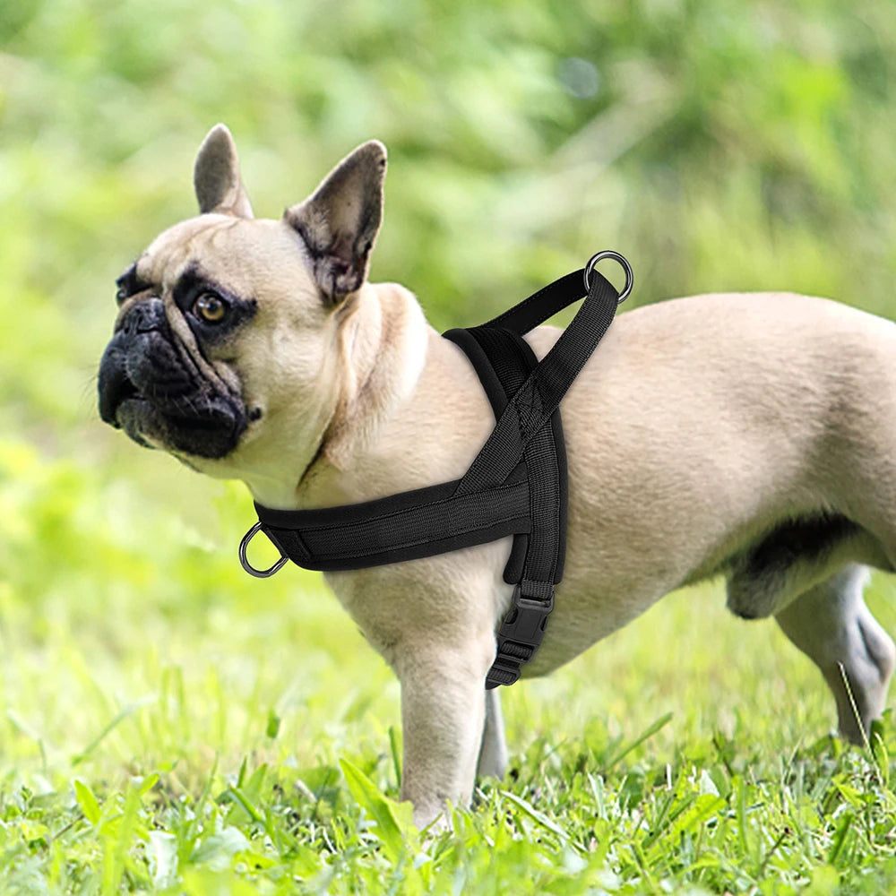 Black no pull dog harness padded nylon vest for small and medium dogs, adjustable breathable fit