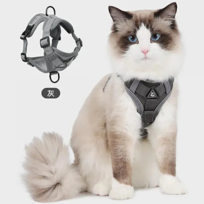 reflective cat harness and leash set for cats, breathable gray mesh pet harness with leash, adjustable safety vest