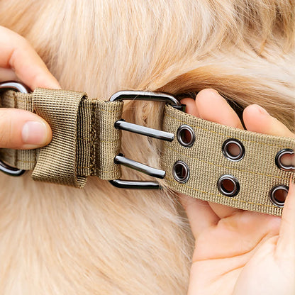 S310f8c58fe0e4625a9935f03ec427fb5W_fd0fe5a9-698b-454d-a022-cc5fbab3711c - bestdoggylife.shop