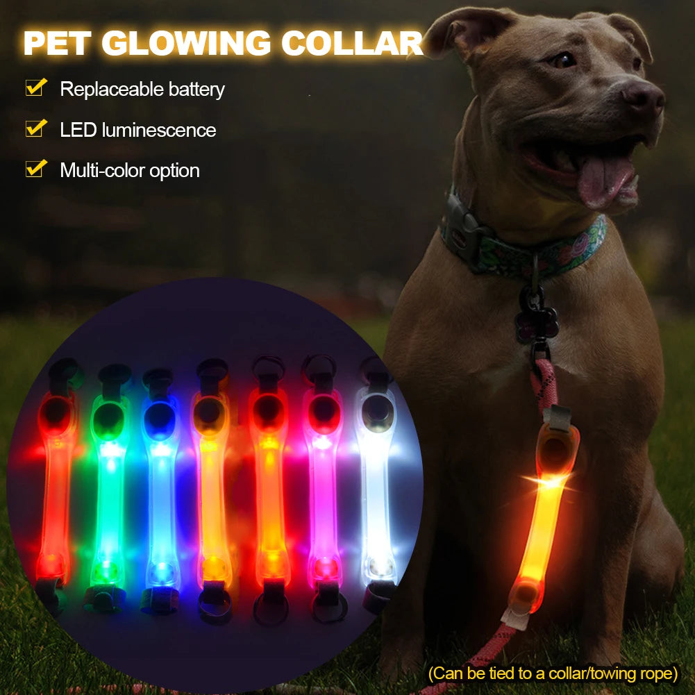 Dog Glowing Collar &amp; Leash Anti Lost Safety Outdoor Waterproof Warning LED Flashing Light Strip Pet Harness Dog Accessories