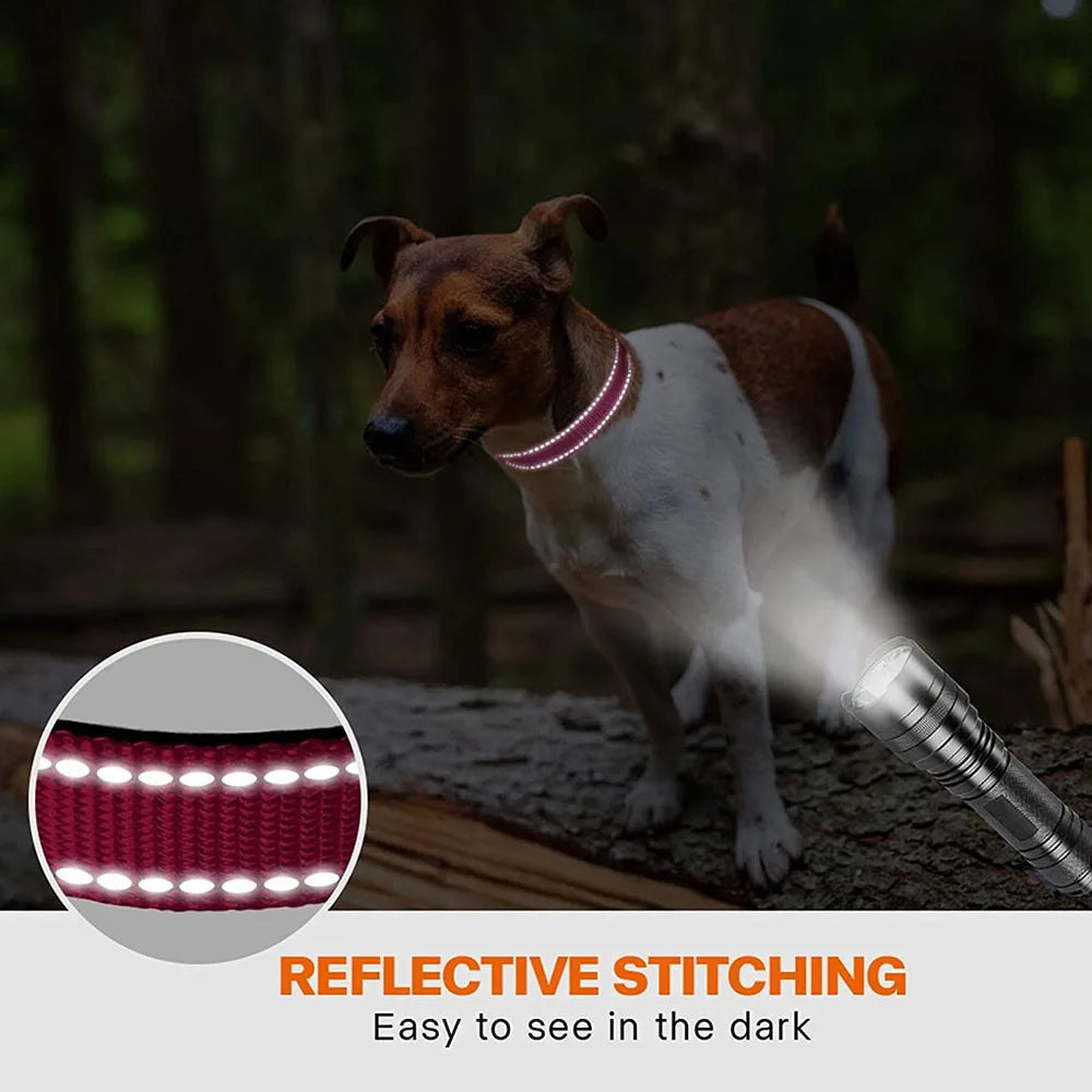 S31bb043b195546d49d5c3e9ab179ca26A - bestdoggylife.shop