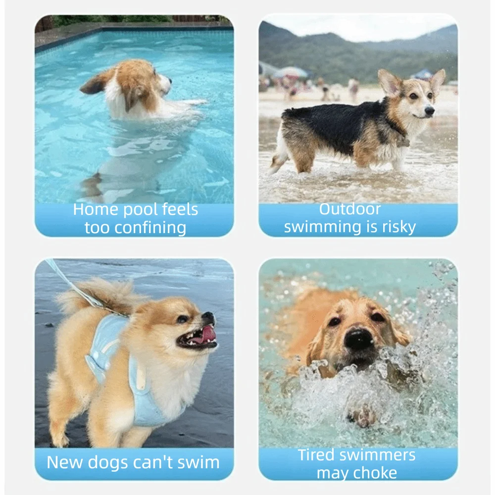 adjustable dog life jacket for safe swimming, beach play, and pool protection for dogs in all water conditions