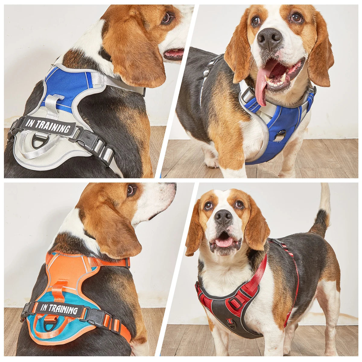 S31e296af3a12469f9e1323a70e660865b - bestdoggylife.shop