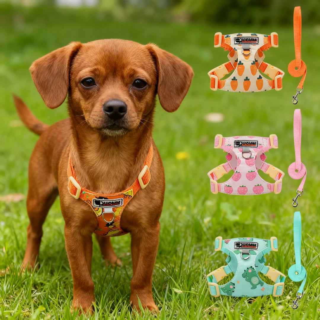 puppy print dog harness and leash set adjustable soft padded vest for small medium dogs cute orange puppy harness