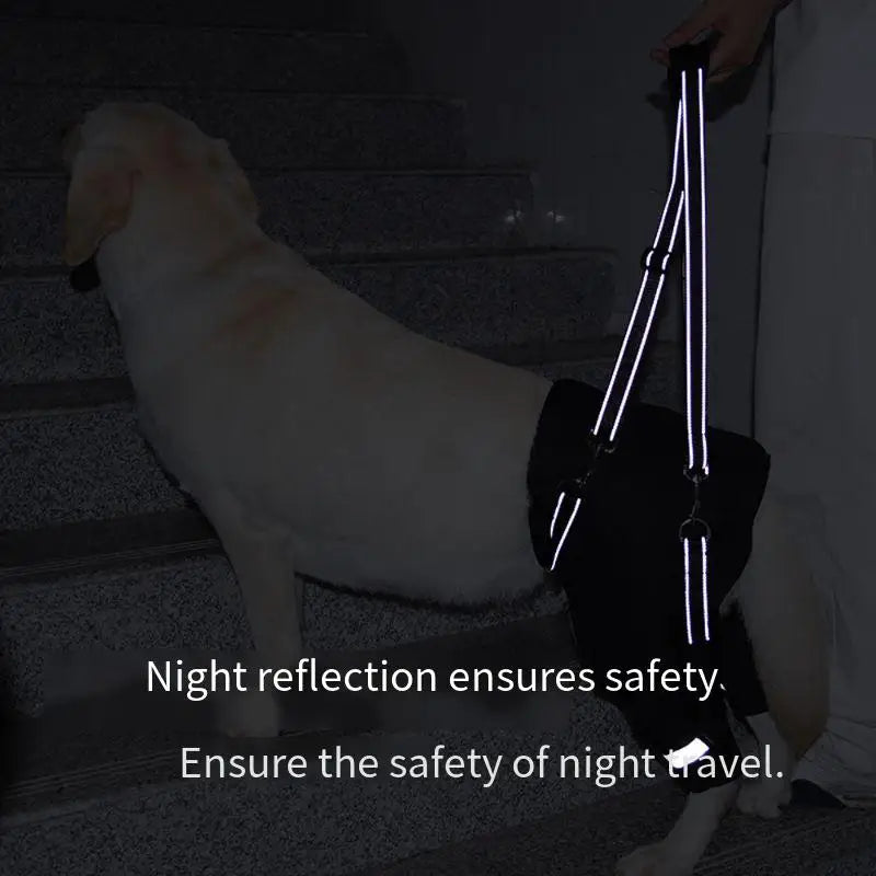 Dog Support Harness Elderly Dogs Adjustable Rehabilitation Mobility Aid Walk Comfortable Orthopedic Back Leg Lift Support Belt