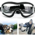 S32287742ba324dd1a5f646f4187caed0y - bestdoggylife.shop
