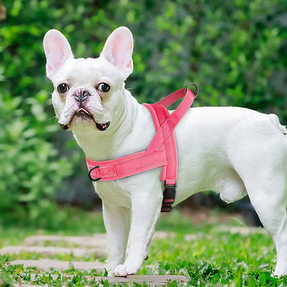 Pink no pull dog harness on a white French Bulldog standing outdoors, padded adjustable vest for small and medium dogs