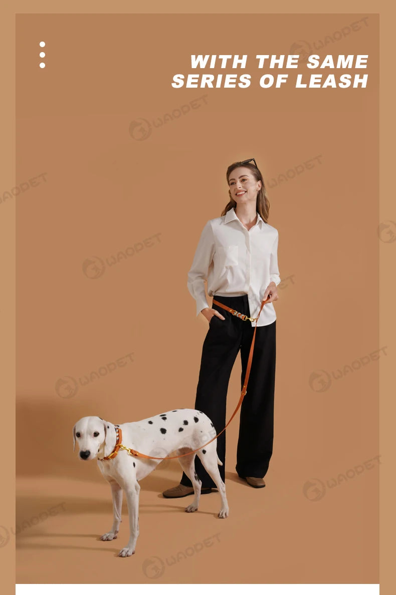 S3279c819ecee43319b24cb2d7725471b1 - bestdoggylife.shop