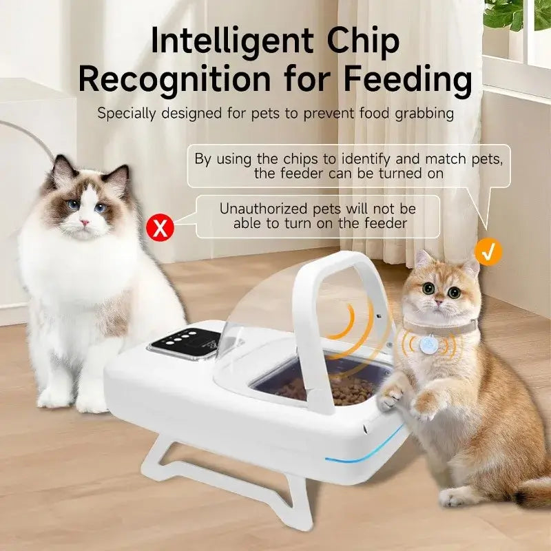 microchip pet feeder with collar sensor prevents food grabbing for cats and medium-sized dogs